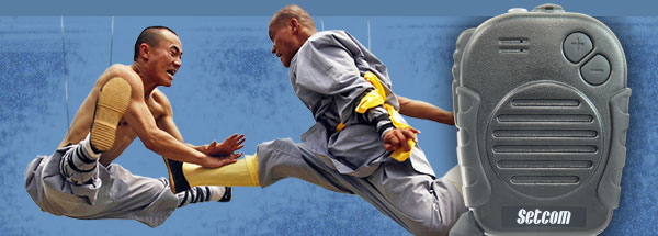 Wireless Mobile-Portable