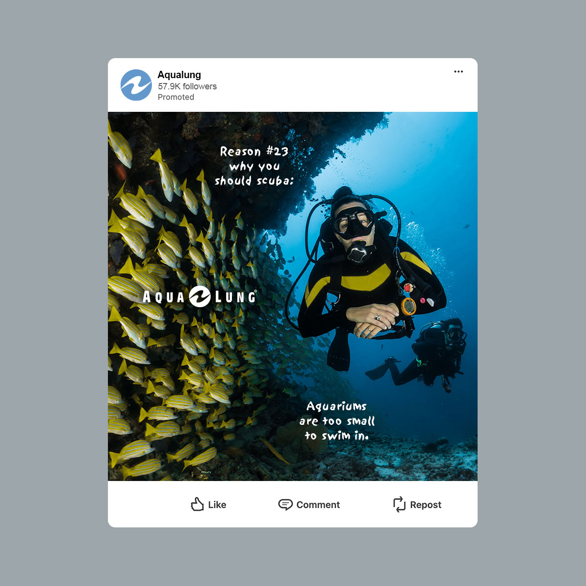 Aqua Lung social media advertising