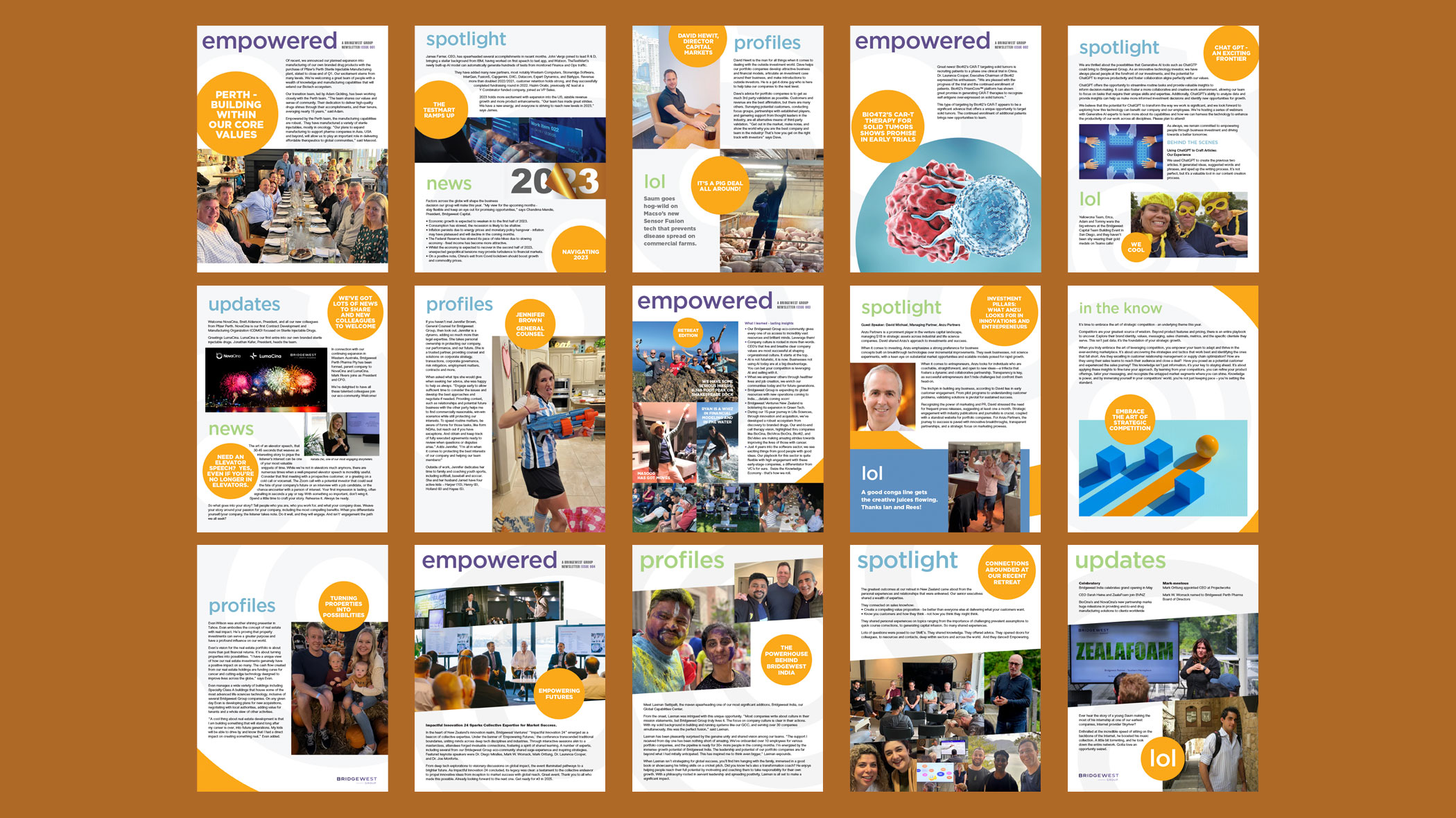 BWG newsletter collateral